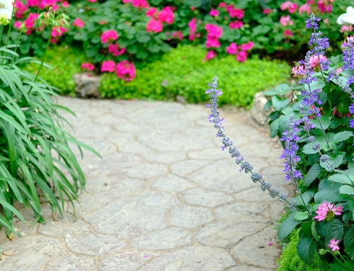 Create Special Places for Quiet Moments
